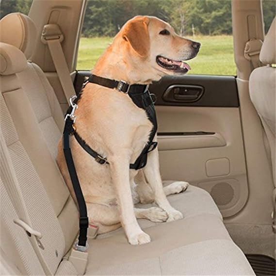Ceinture de sécurité pour chien laisse de sécurité chien chat en voiture TOUTES MARQUES SUV CAMION CAMIONNETTE ajustable ergonomique pratique rapide et simple 1 seconde 86 centièmes , plus rapide que USAIN BOLT et ses 9 secondes 58 pour 100 mètres !!! Incroyable !! faites un cadeau à votre chien ! SECURITE PROTECTION - SAUVEZ LUI LA VIE ! Il es bien attaché le pépère !!