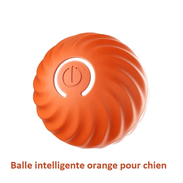 Balle interactive intelligente pour chien et chat rechargeable USB autonomie de 3 heures