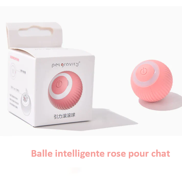 Balle interactive intelligente pour chien et chat rechargeable USB autonomie de 3 heures