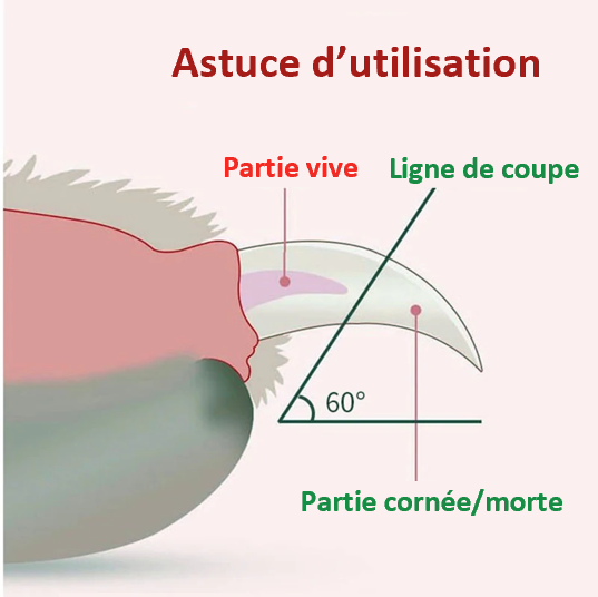 Ciseaux à ongles à LEB professionnel sécurisé compact lumineux léger et fonctionnel cadeau original débutant et professionnel résistant fiable pratique petit astuce d'utilisation ligne de sang à 60°