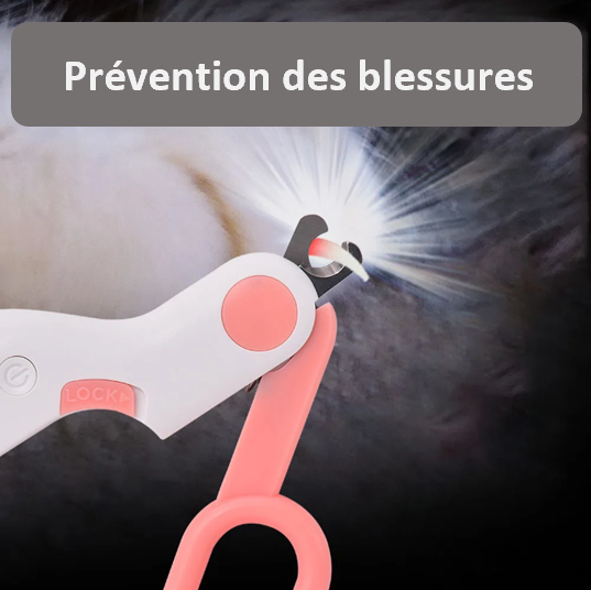 Ciseaux à ongles à LEB professionnel sécurisé compact lumineux léger et fonctionnel cadeau original débutant et professionnel résistant fiable pratique petit prévention des blessures