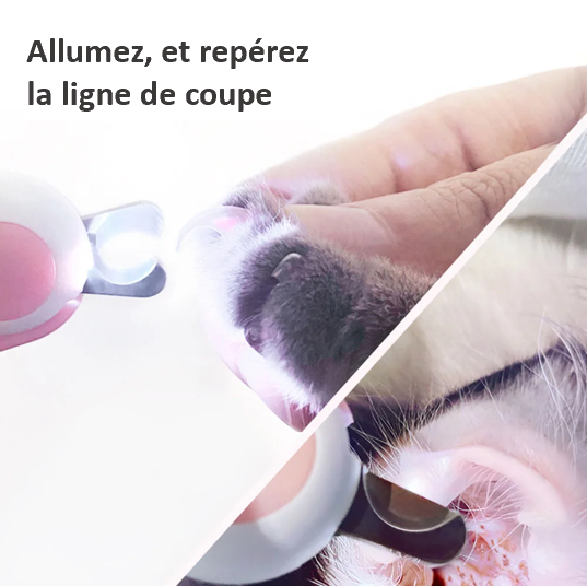 Ciseaux à ongles à LEB professionnel sécurisé compact lumineux léger et fonctionnel cadeau original débutant et professionnel résistant fiable pratique petit repérez la ligne de coupe