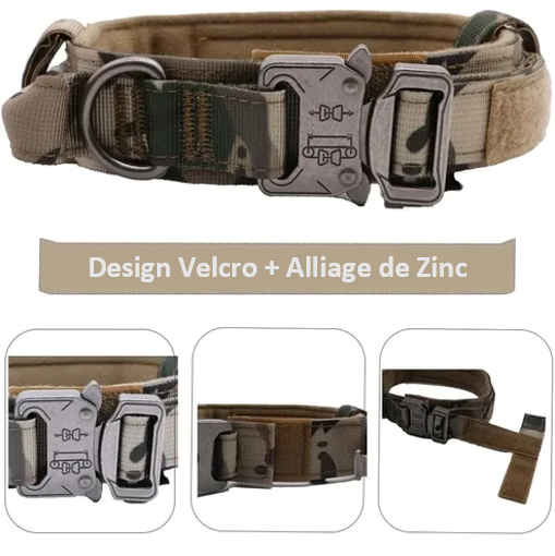COLLIER TACTIQUE et LAISSE DE DRESSAGE solide pratique fiable, 7 couleurs ou coloris, 3 tailles , pour chien moyens ou grands, BERGER ALLEMAND, MALINOIS, chien sportif, avec poignée de proximité, boucle métal robuste , anneau en D , randonnée, patrouille, PATPATROUILLE, police, armée, militaire, promenade,. Confort, Nylon alliage de ZINC, TOUTES RACES . CADEAU IDEAL Velcro et alliage de ZINC