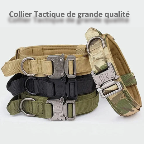 COLLIER TACTIQUE et LAISSE DE DRESSAGE solide pratique fiable, 7 couleurs ou coloris, 3 tailles , pour chien moyens ou grands, BERGER ALLEMAND, MALINOIS, chien sportif, avec poignée de proximité, boucle métal robuste , anneau en D , randonnée, patrouille, PATPATROUILLE, police, armée, militaire, promenade,. Confort, Nylon alliage de ZINC, TOUTES RACES . CADEAU IDEAL Très GRANDE QUALITE