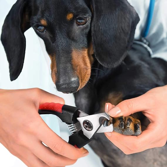 Coupe ongles professionnel pour chiens et chats PETS, lame en acier inoxydable arrondi pour une coupe sans douleur régulière et propre. Repose patte pour que votre animal ne bouge pas lors de la coupe. Fermoir pour ranger votre outil en toute sécurité . Toilettage, économie , vétérinaire beauté . Poignée ergonomique et confortable . Cadeau IDEAL !! TOUTES RACES , TOUTES TAILLES