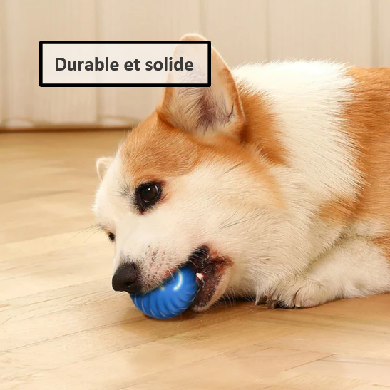 Balle interactive intelligente pour chien et chat rechargeable USB autonomie de 3 heures Durable et solide