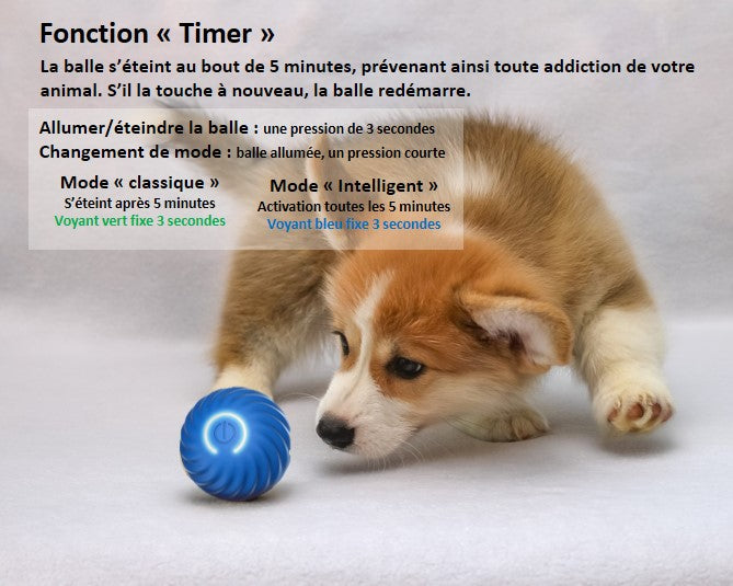 Balle interactive intelligente pour chien et chat rechargeable USB autonomie de 3 heures Fonction timer