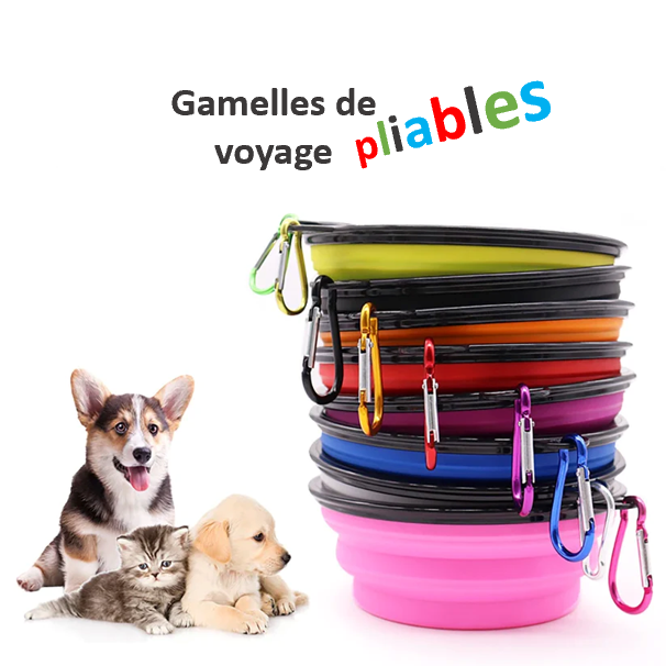 GAMELLE de voyage pliable, rétractable. Pratique et résistante, facile d'entretien, lavable en machine ou à la main, 5 coloris, 13 cm de diamètre. EAU et NOURRITURE pour toutes LES RACES de CHIENS, de CHATS, et animaux de compagnie. Pour la PATPATROUILLE aussi !! Solide et fiable pour votre quotidien ! Parfait pour les randonnées et les voyages ! Coloris disponible en Violet, Rouge, Bleu, Vert, Noir … Toute l’équipe a choisi la Verte 😉 ELLE est PLIABLE !!!