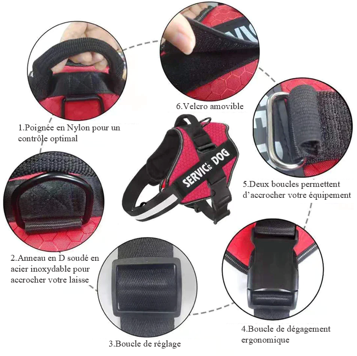 Harnais personnalisable avec un Velcro, une poignée Nylon de haute qualité, un anneau en D pour la laisse que vous trouverez également sur ce site ; Indiquez le nom de votre chien ou votre numéro de téléphone. Solide fiable sûr , SECURITE , 14 coloris, 6 tailles , pratique ! IDEAL AU QUOTIDIEN LILOU, TOUTES RACES - 6 détails
