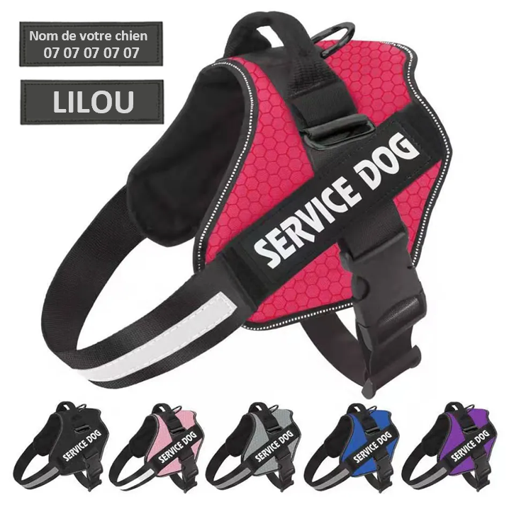 Harnais personnalisable avec un Velcro, une poignée Nylon de haute qualité, un anneau en D pour la laisse que vous trouverez également sur ce site ; Indiquez le nom de votre chien ou votre numéro de téléphone. Solide fiable sûr , SECURITE , 14 coloris, 6 tailles , pratique ! IDEAL AU QUOTIDIEN LILOU, TOUTES RACES