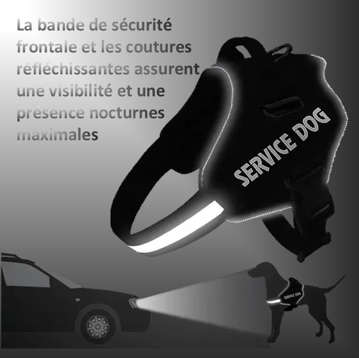 Wahou !!! C'est vrai qu'on le voit hyper bien , même en pleine nuit !!