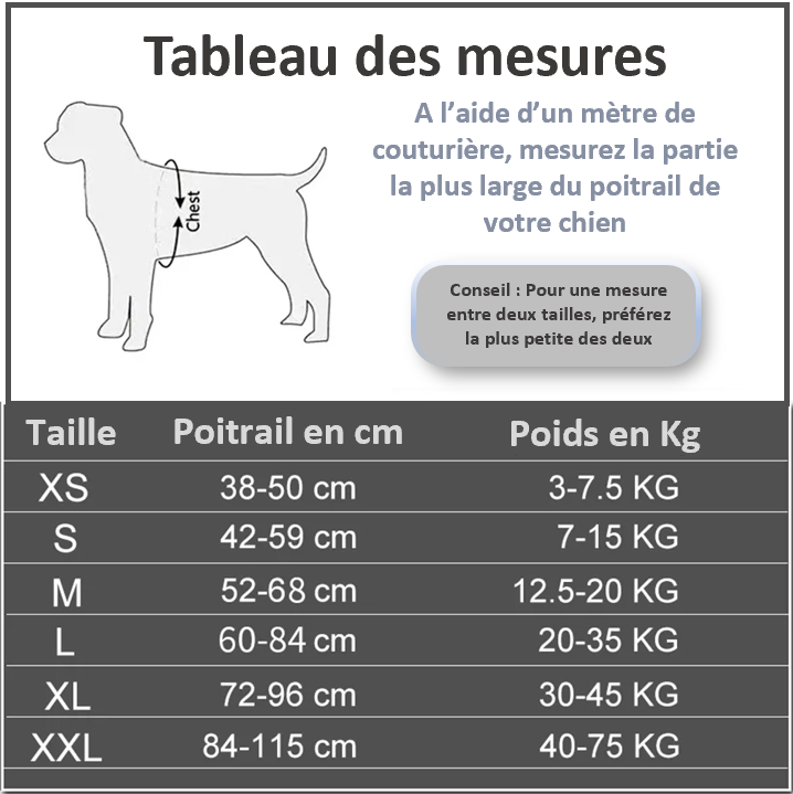 Harnais personnalisable avec un Velcro, une poignée Nylon de haute qualité, un anneau en D pour la laisse que vous trouverez également sur ce site ; Indiquez le nom de votre chien ou votre numéro de téléphone. Solide fiable sûr , SECURITE , 14 coloris, 6 tailles , pratique ! IDEAL AU QUOTIDIEN LILOU, TOUTES RACES Tableau des tailles
