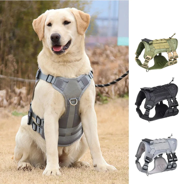 Harnais tactique pour chien moyens et grands réglable , matériaux PREMIUM, maille OXFORD, résistant , 2 boucles de dégagement rapide, adapté randonnée , trail , track, chasse, entrainement , running, chien d'assaut, équipé de Velcro, d'élastique , avec une poignée en caoutchouc renforcé . SECURITE PROTECTION , HARNESS DOG , MALINOIS, BERGER ALLEMAND TOUTES races; TOP CADEAU ; 3 couleurs ; 3 tailles ; LABRADOR
