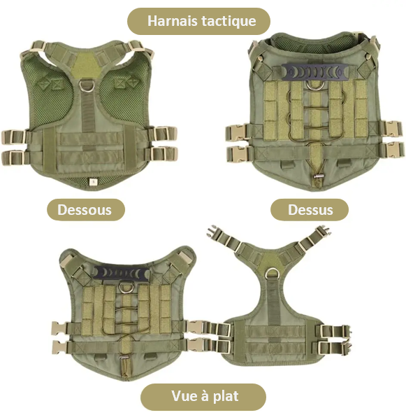 Harnais tactique pour chien moyens et grands réglable , matériaux PREMIUM, maille OXFORD, résistant , 2 boucles de dégagement rapide, adapté randonnée , trail , track, chasse, entrainement , running, chien d'assaut, équipé de Velcro, d'élastique , avec une poignée en caoutchouc renforcé . SECURITE PROTECTION , HARNESS DOG , MALINOIS, BERGER ALLEMAND TOUTES races; TOP CADEAU ; 3 couleurs ; 3 tailles et ici un aplat
