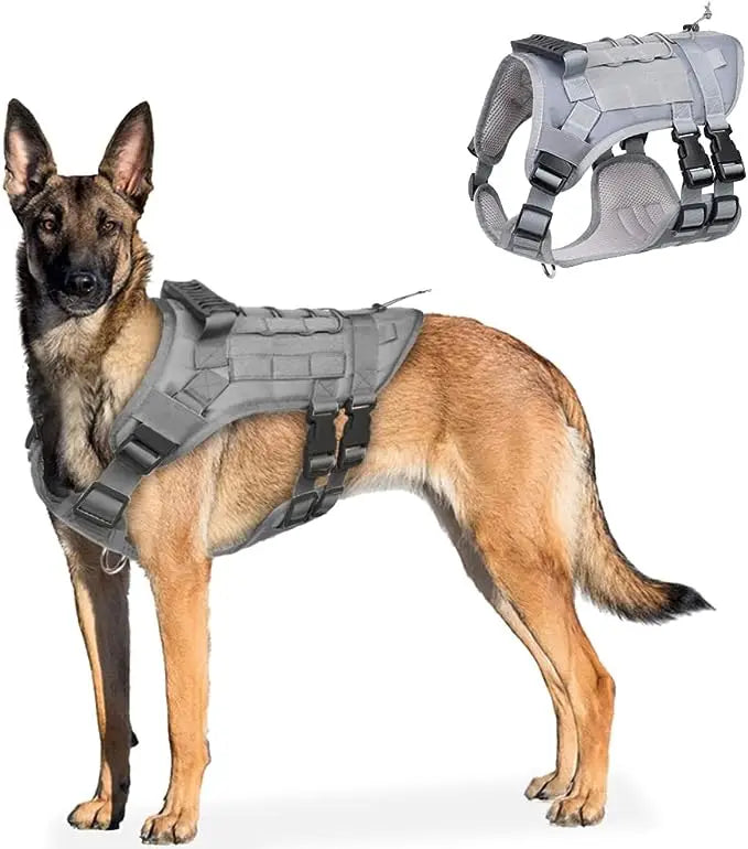 Harnais tactique pour chien moyens et grands réglable , matériaux PREMIUM, maille OXFORD, résistant , 2 boucles de dégagement rapide, adapté randonnée , trail , track, chasse, entrainement , running, chien d'assaut, équipé de Velcro, d'élastique , avec une poignée en caoutchouc renforcé . SECURITE PROTECTION , HARNESS DOG , MALINOIS, BERGER ALLEMAND TOUTES races; TOP CADEAU ; 3 couleurs NOIR GRIS ou VERT CAMOUFLAGE ; 3 tailles
