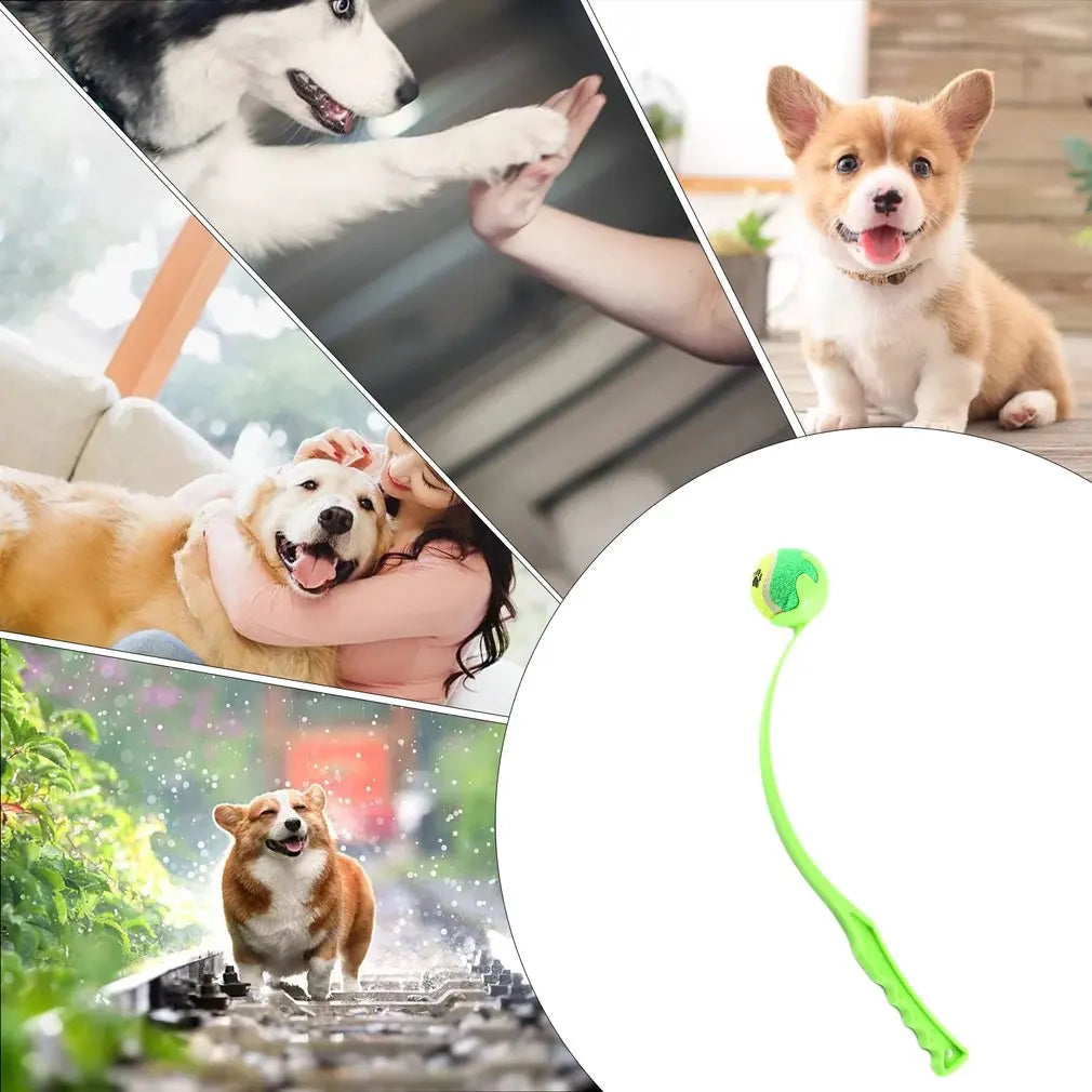 45 cm !! Faites plaisir à votre chien avec ces lanceurs pour animaux de compagnie de Canis Area ! Vous lancerez 2 à 3 fois plus loin qu'à main nue. Ne vous baissez plus pour ramasser la balle qu'il vous rapporte ! Choisissez verts, bleu ou rose. Parfait pour de longues parties de jeux avec lui ! Amusez-vous bien ! top mignon les chiens !!