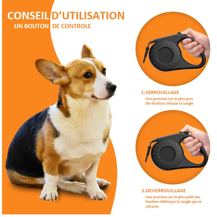 Laisse rétractable à enroulement automatique pour chien jusqu'à 50 kg ! Existe en vert et en noir solide élégante système de verrouillage longueur 5 mètres - 5M - un peu de technique avec un profil anti emmêlement , une maille en nylon renforcé , un mousqueton pivotant durable et antirouille , ergonomique et antidérapant idéal cadeau ; avec un chien ... pas très sportif ! lol