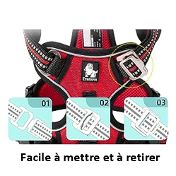 Harnais design 14 coloris et 5 tailles , XS S M L XL , cadeau idéal , confort, sécurité, élégance, LED possible , marque TRUELOVE, pratique et fonctionnel , bande réfléchissantes 3M , poignée de rappel, boucles DURALEX, bleu , rouge , orange , noir et bien d'autres ! UN INCONTOURNABLE , numéro 1 des ventes !! FONCTIONNEL
