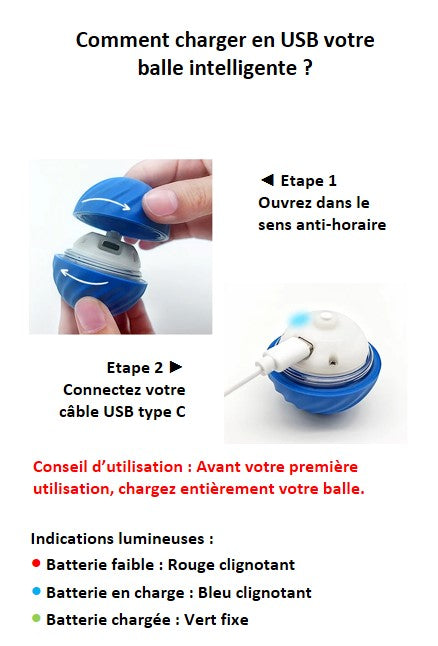 Balle interactive intelligente pour chien et chat rechargeable USB type-C autonomie de 3 heures