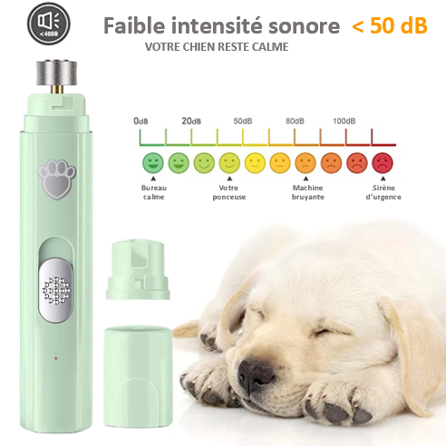 Ponceuse broyeuse pour ongles de chien , avec 2 vitesses de rotation Meule diamant performance et durable , 3 styles de taille , seulement 40dB, silencieux , confortable, chien et chat, intelligent, aussi pour les débutants, stockage facile, rechargeable, grande autonomie , pas de LUMIERE LED faible intensité sonore : inferieure à 50 dB