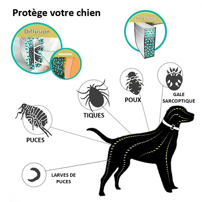 SERESTO Colliers Anti-Puces et Anti-Tiques Chiens de plus de 8 kg LOT de 2 - Recommandé par les vétérinaires - N°1 des ventes dans sa catégorie sur AMAZON !! protection