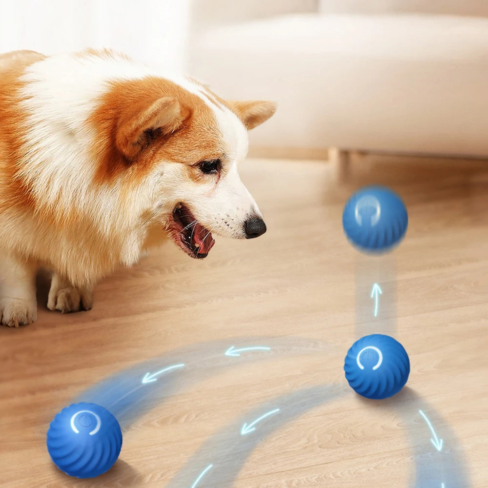 Balle intelligente rechargeable USB pour votre chien et chat cadeau idéal