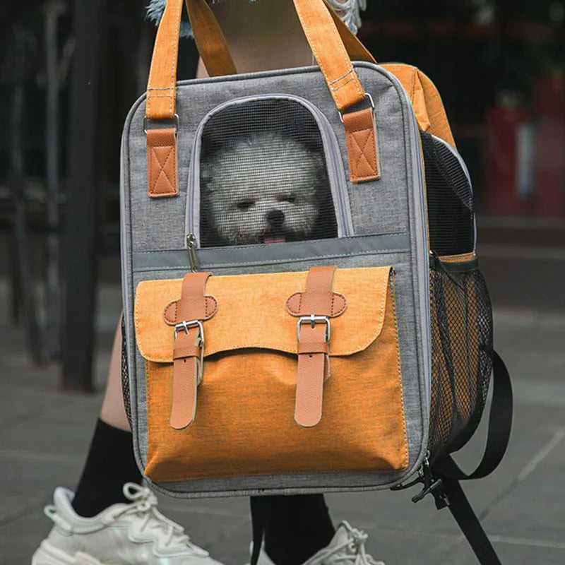 3 couleurs coloris sac de transport chien chat chiot confortable sécurité design joli, pratique , élégant et stylé, léger, qualité OXFORD, imperméable , facile à ranger .ORANGE , BLEU ou VERT chien blanc dans le sac orange