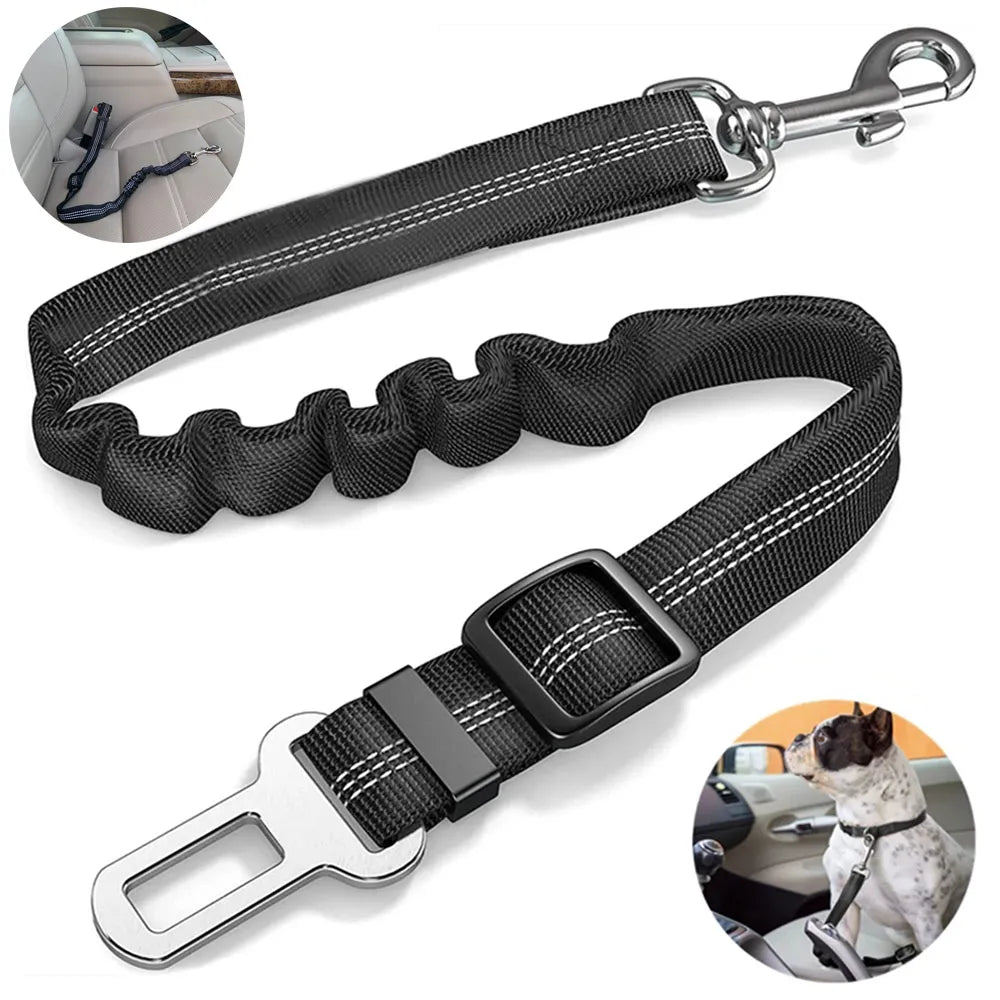 Ceinture de sécurité pour chien laisse de sécurité chien chat en voiture TOUTES MARQUES SUV CAMION CAMIONNETTE ajustable ergonomique pratique rapide et simple 1 seconde 86 centièmes , plus rapide que USAIN BOLT et ses 9 secondes 58 pour 100 mètres !!! Incroyable !! faites un cadeau à votre chien ! SECURITE PROTECTION - SAUVEZ LUI LA VIE !