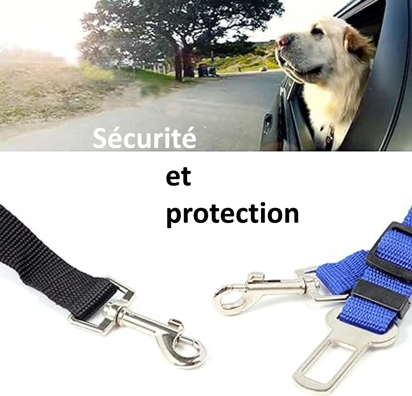 Ceinture de sécurité pour chien laisse de sécurité chien chat en voiture TOUTES MARQUES SUV CAMION CAMIONNETTE ajustable ergonomique pratique rapide et simple 1 seconde 86 centièmes , plus rapide que USAIN BOLT et ses 9 secondes 58 pour 100 mètres !!! Incroyable !! faites un cadeau à votre chien ! SECURITE PROTECTION - SAUVEZ LUI LA VIE ! A la fenêtre de la voiture