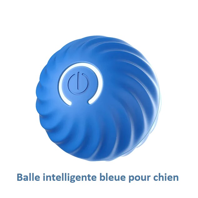 Balle interactive intelligente pour chien et chat rechargeable USB autonomie de 3 heures