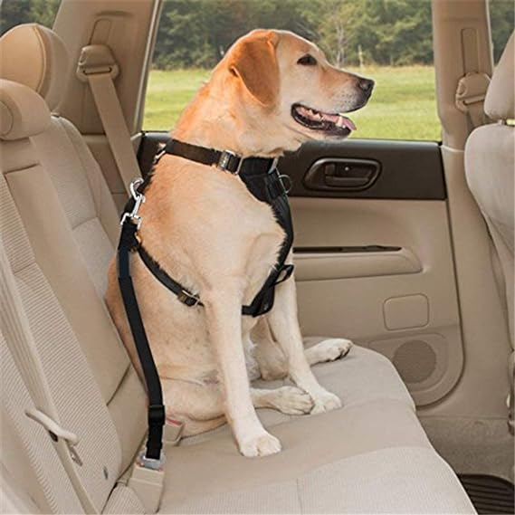 Ceinture de sécurité pour chien laisse de sécurité chien chat en voiture TOUTES MARQUES SUV CAMION CAMIONNETTE ajustable ergonomique pratique rapide et simple 1 seconde 86 centièmes , plus rapide que USAIN BOLT et ses 9 secondes 58 pour 100 mètres !!! Incroyable  !! faites un cadeau à votre chien ! SECURITE PROTECTION - SAUVEZ LUI LA VIE ! Il es bien attaché le pépère !! 