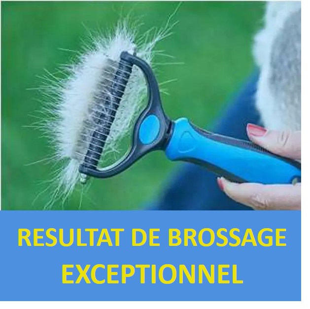 brosse râteau râteaux double face coupe-nœuds chien chat démêlant ergonomique chien chat  toilettage polyvalent cadeau poils brossage exceptionnel