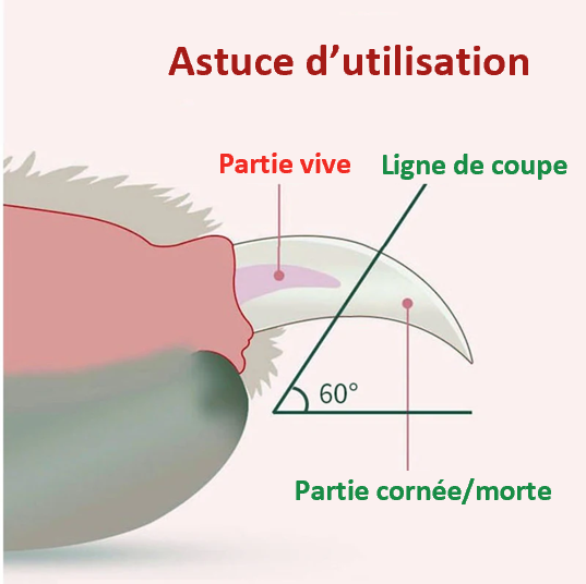 Ciseaux à ongles à LEB professionnel sécurisé compact lumineux léger et fonctionnel cadeau original débutant et professionnel résistant fiable pratique petit  astuce d'utilisation ligne de sang à 60°