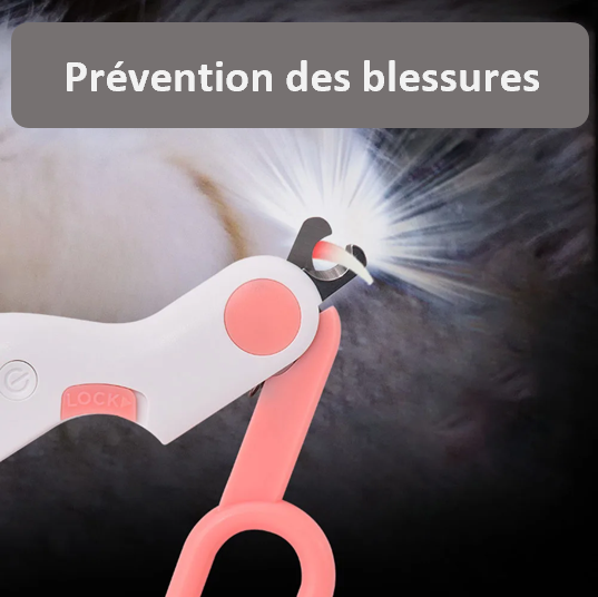 Ciseaux à ongles à LEB professionnel sécurisé compact lumineux léger et fonctionnel cadeau original débutant et professionnel résistant fiable pratique petit  prévention des blessures 