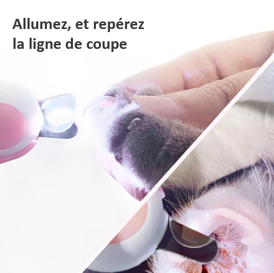 Ciseaux à ongles à LEB professionnel sécurisé compact lumineux léger et fonctionnel cadeau original débutant et professionnel résistant fiable pratique petit  repérez la ligne de coupe 