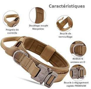 COLLIER TACTIQUE et LAISSE DE DRESSAGE solide pratique fiable, 7 couleurs ou coloris, 3 tailles , pour chien moyens ou grands, BERGER ALLEMAND, MALINOIS, chien sportif, avec poignée de proximité, boucle métal robuste , anneau en D , randonnée, patrouille, PATPATROUILLE, police, armée, militaire, promenade,. Confort, Nylon alliage de ZINC, TOUTES RACES . CADEAU IDEAL  Caractéristiques 