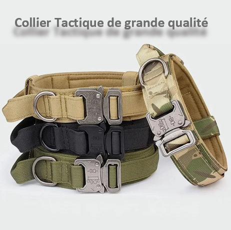 COLLIER TACTIQUE et LAISSE DE DRESSAGE solide pratique fiable, 7 couleurs ou coloris, 3 tailles , pour chien moyens ou grands, BERGER ALLEMAND, MALINOIS, chien sportif, avec poignée de proximité, boucle métal robuste , anneau en D , randonnée, patrouille, PATPATROUILLE, police, armée, militaire, promenade,. Confort, Nylon alliage de ZINC, TOUTES RACES . CADEAU IDEAL   Très GRANDE QUALITE