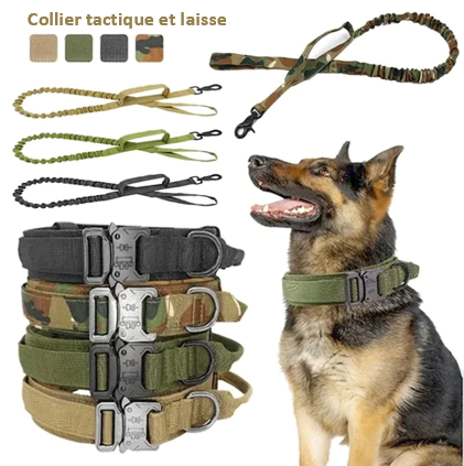 COLLIER TACTIQUE et LAISSE DE DRESSAGE solide pratique fiable, 7 couleurs ou coloris, 3 tailles , pour chien moyens ou grands, BERGER ALLEMAND, MALINOIS, chien sportif, avec poignée de proximité, boucle métal robuste , anneau en D , randonnée, patrouille, PATPATROUILLE, police, armée, militaire, promenade,. Confort, Nylon alliage de ZINC, TOUTES RACES . CADEAU IDEAL 