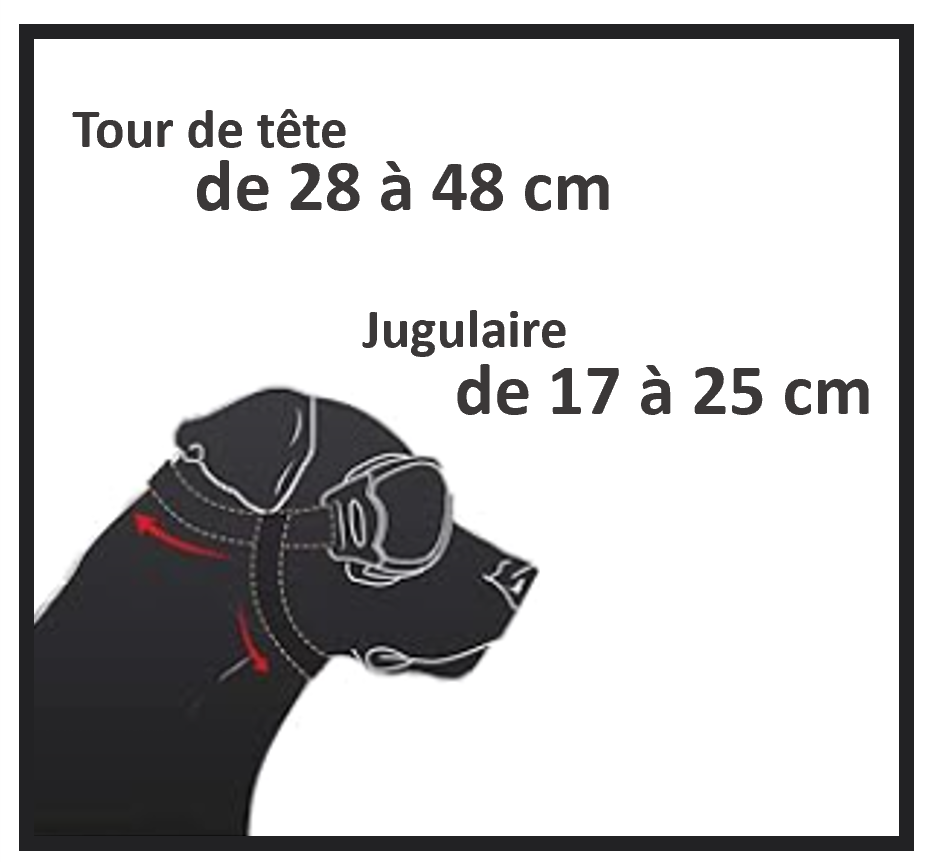 Lunettes de soleil pour chien, avec sangles réglables anti-UV imperméables coupe-vent, protection des yeux pour chiens de taille moyenne et grande ; Confortables et élégantes. La monture souple s'ajuste à la tête de votre chien. Il peut passer la tête par la fenêtre de la voiture et profiter !  Les mesures des sangles 