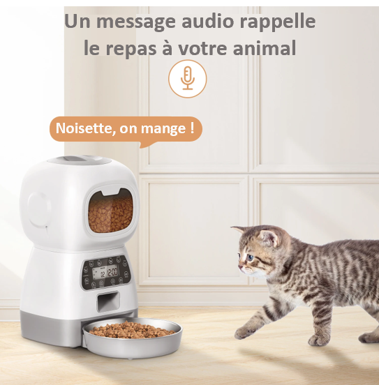 Distributeur mangeoire automatique d'aliments chien chat bol acier inoxydable message audio