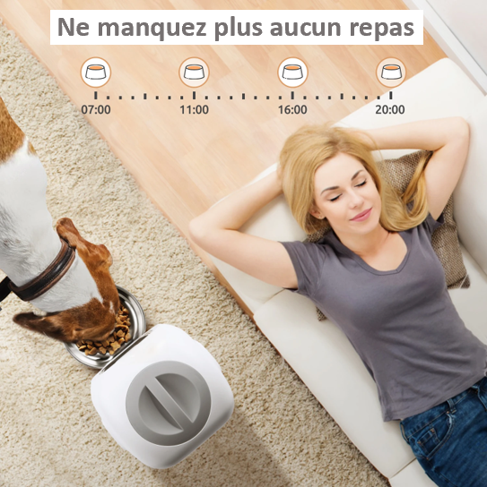 Distributeur mangeoire automatique d'aliments chien chat bol acier inoxydable minuterie 4 repas programmable