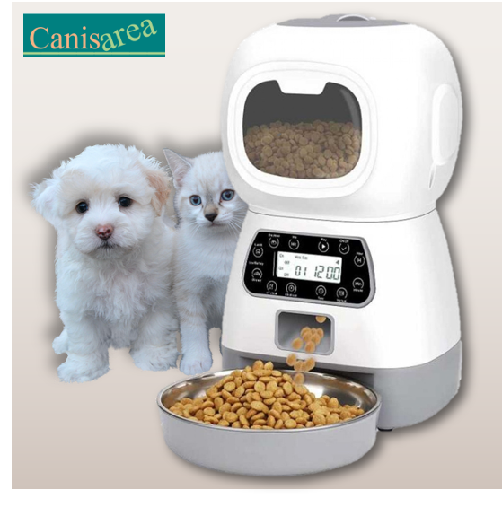 Distributeur mangeoire automatique d'aliments chien chat bol acier inoxydable minuterie pratique