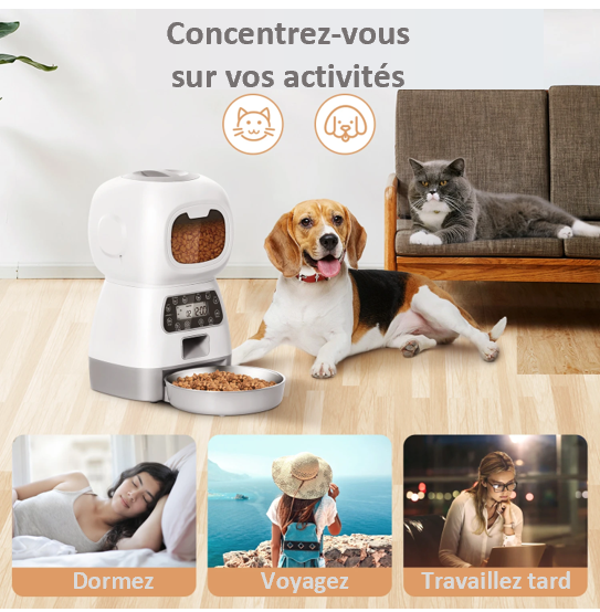 Distributeur mangeoire automatique d'aliments chien chat bol acier inoxydable temps libre