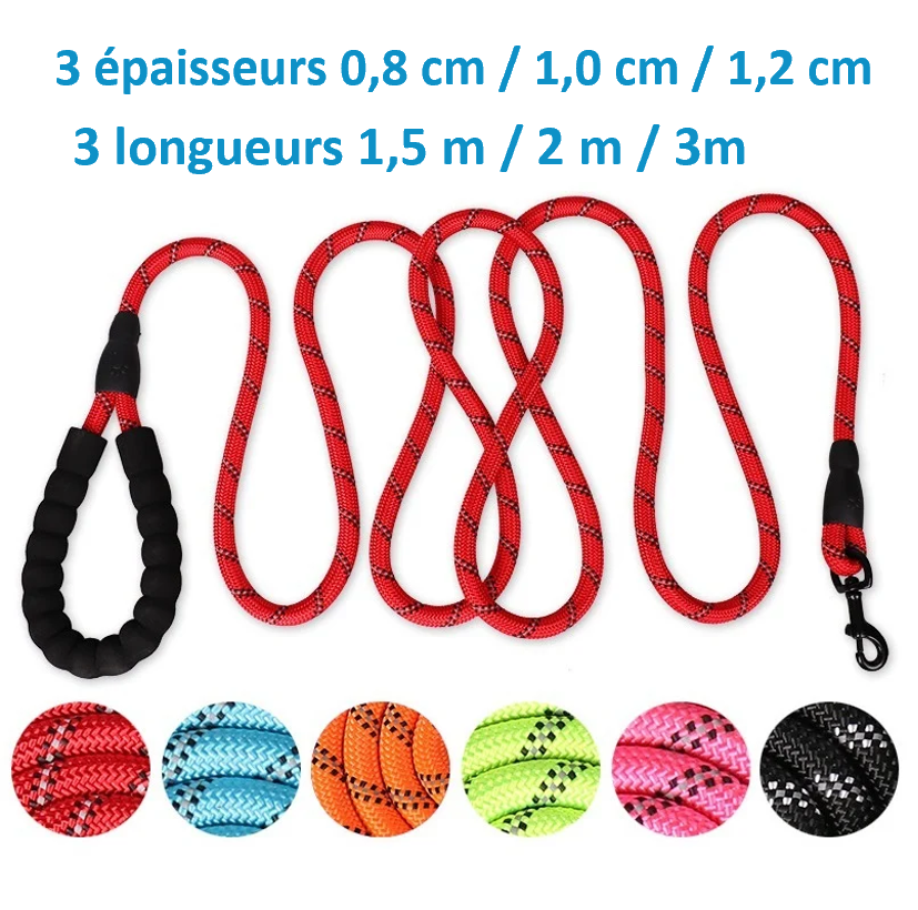 Laisse de dressage réfléchissante et robuste. 3 tailles : 1,5 m , 2 m ou 3 mètres ! 3 épaisseurs disponibles : 0,8 cm , 1 cm ou 1,2 cm ! 7 coloris disponibles ! Robuste et fiable avec une poignée ergonomique et moelleuse. La laisse de dressage reste souple et résistante. IDEAL DRESSAGE. MEILLEURE VENTE AMAZON ! Un large choix de longueurs et d'épaisseurs , mais aussi de Coloris !