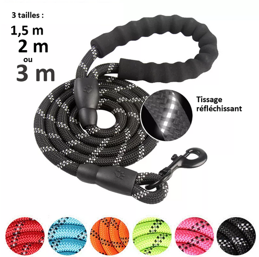 Laisse de dressage réfléchissante et robuste. 3 tailles : 1,5 m , 2 m ou 3 mètres ! 3 épaisseurs disponibles : 0,8 cm , 1 cm ou 1,2 cm ! 7 coloris disponibles ! Robuste et fiable avec une poignée ergonomique et moelleuse. La laisse de dressage reste souple et résistante. IDEAL DRESSAGE. MEILLEURE VENTE AMAZON 