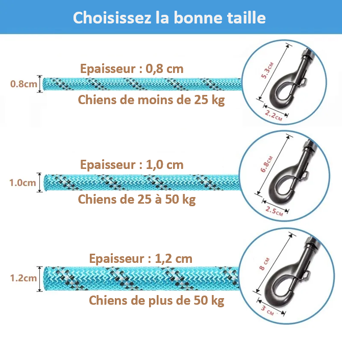 Laisse de dressage réfléchissante et robuste. 3 tailles : 1,5 m , 2 m ou 3 mètres ! 3 épaisseurs disponibles : 0,8 cm , 1 cm ou 1,2 cm ! 7 coloris disponibles ! Robuste et fiable avec une poignée ergonomique et moelleuse. La laisse de dressage reste souple et résistante. IDEAL DRESSAGE. MEILLEURE VENTE AMAZON ! Tableau des tailles pour vous y repérer. CADEAU IDEAL !