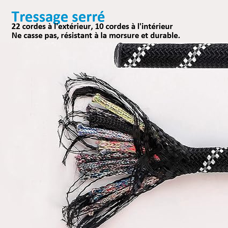 Laisse de dressage réfléchissante et robuste. 3 tailles : 1,5 m , 2 m ou 3 mètres ! 3 épaisseurs disponibles : 0,8 cm , 1 cm ou 1,2 cm ! 7 coloris disponibles ! Robuste et fiable avec une poignée ergonomique et moelleuse. La laisse de dressage reste souple et résistante. IDEAL DRESSAGE. MEILLEURE VENTE AMAZON ! La constitution de cette laisse est incroyablement solide et ne vous laissera (jeu de mot...lol) pas sans votre chien !!