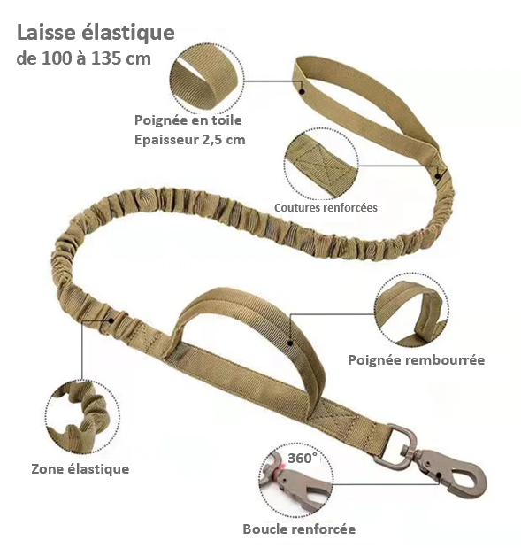 COLLIER TACTIQUE et LAISSE DE DRESSAGE solide pratique fiable, 7 couleurs ou coloris, 3 tailles , pour chien moyens ou grands, BERGER ALLEMAND, MALINOIS, chien sportif, avec poignée de proximité, boucle métal robuste , anneau en D , randonnée, patrouille, PATPATROUILLE, police, armée, militaire, promenade,. Confort, Nylon alliage de ZINC, TOUTES RACES . CADEAU IDEAL  Toute la laisse en détail 