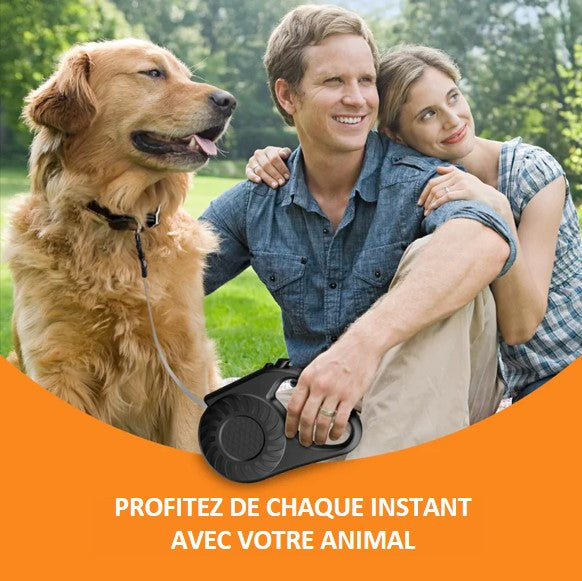 Laisse rétractable à enroulement automatique pour chien jusqu'à 50 kg ! Existe en vert et en noir solide élégante système de verrouillage   longueur 5 mètres - 5M le beau gosse et sa copine 