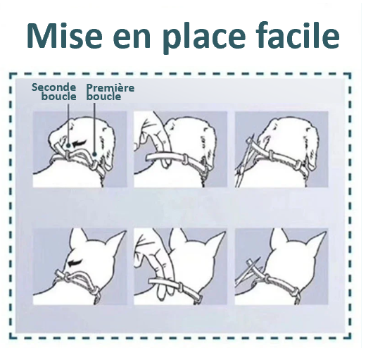 Collier ANTIPUCE, ANTILARVE de puces, ANTIPOUX, contre la GALE sarcoptique, et ANTITIQUE ; Facile à mettre en place , confortable pour votre chien ; EFFICACE 8 MOIS ; léger, souple et discret. Il est étanche et écologique. Vendu en LOT DE 2, pour chien de + ou - de 8 kg, et pour chat ! Pour une hygiène parfaite !! Il suffit de quelques secondes pour installer votre collier ! 